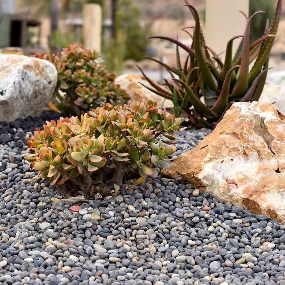 Southwest Boulder & Stone 0.25 cu. ft. 3 in. to 5 in. Mixed Mexican Beach Pebble Smooth Round Rock for Gardens, Landscapes, and Ponds