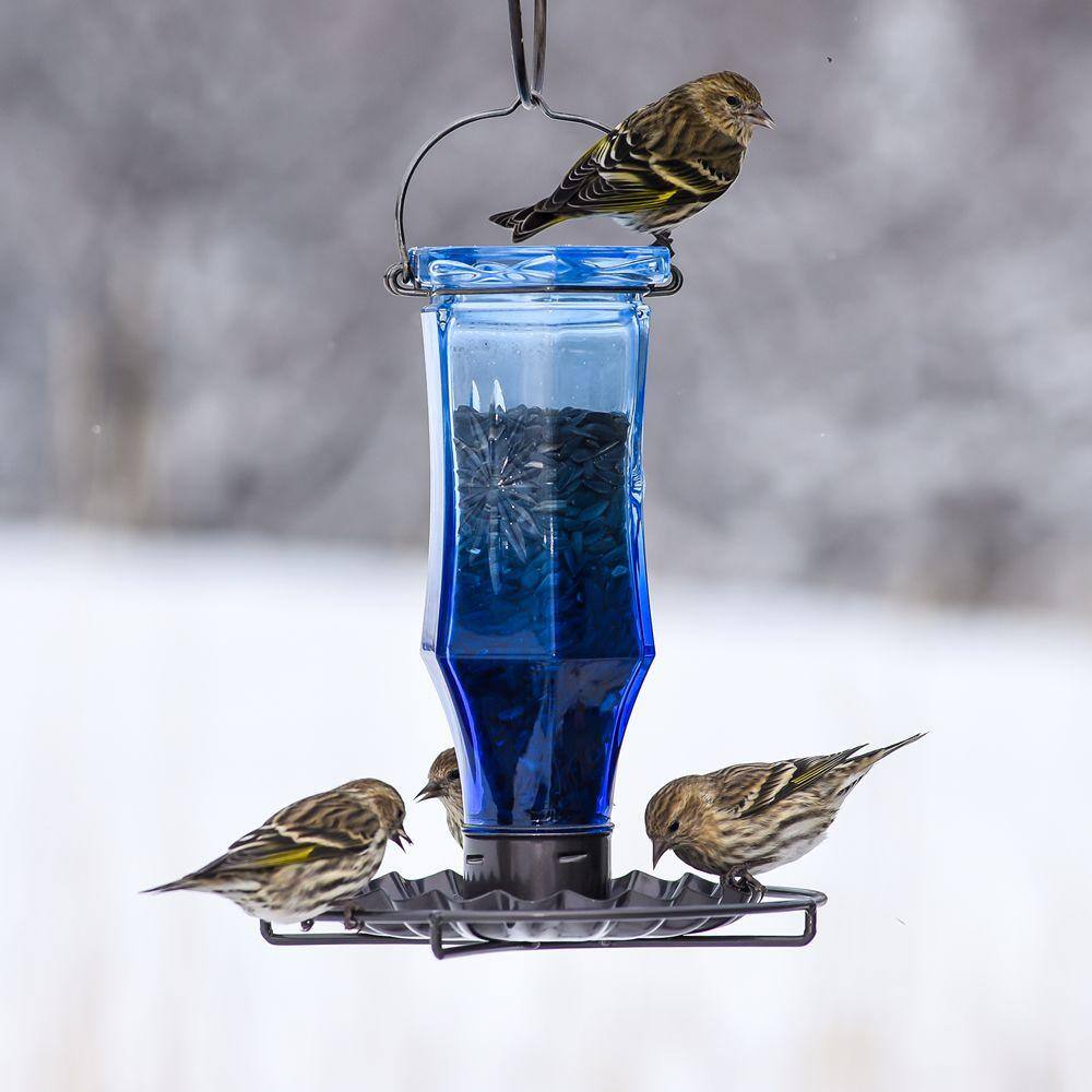 Perky-Pet Blue Starburst Decorative Glass Hanging Bird Feeder - 0.56 lb. Capacity