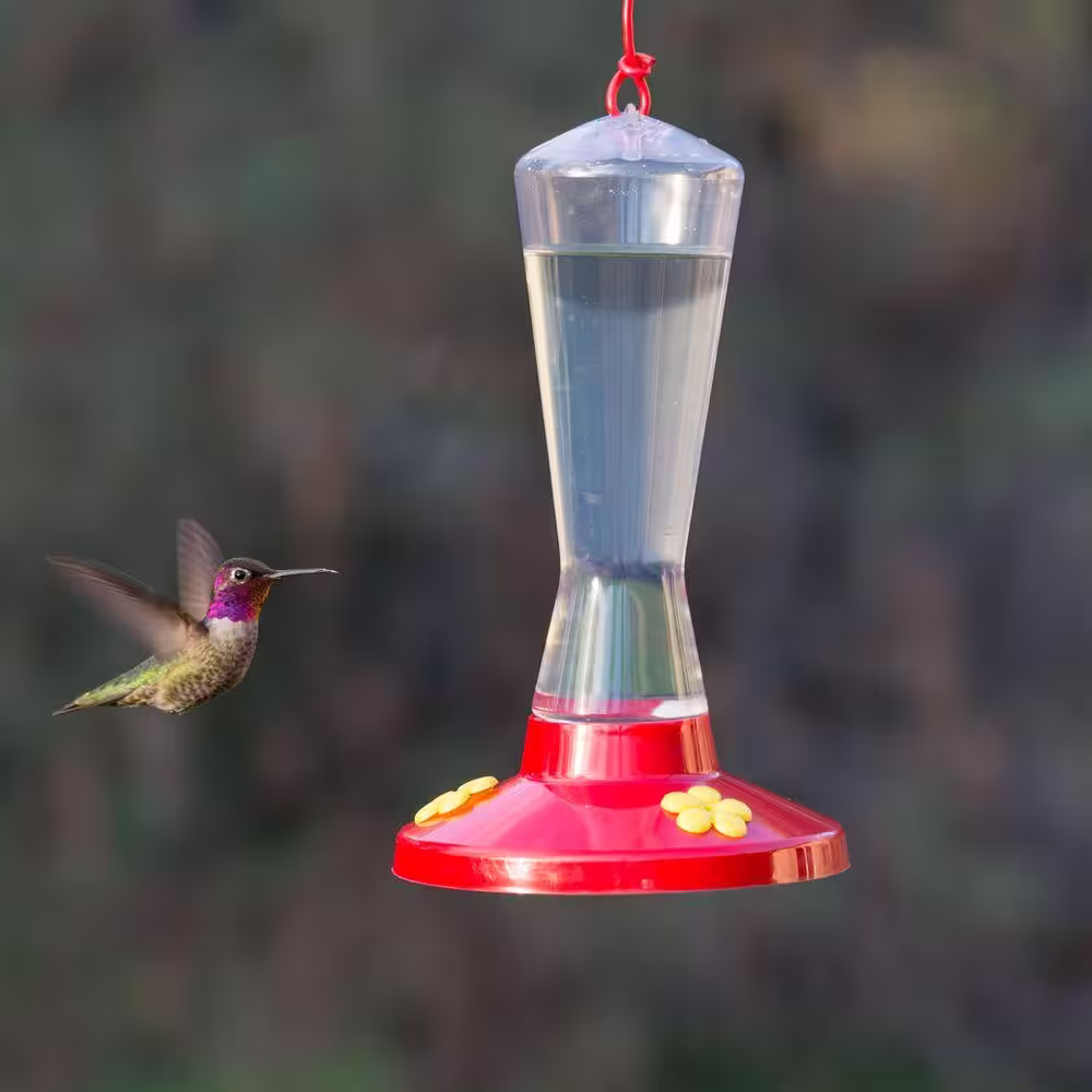 Perky-Pet Clear Plastic Hummingbird Feeder - 8 oz. Capacity