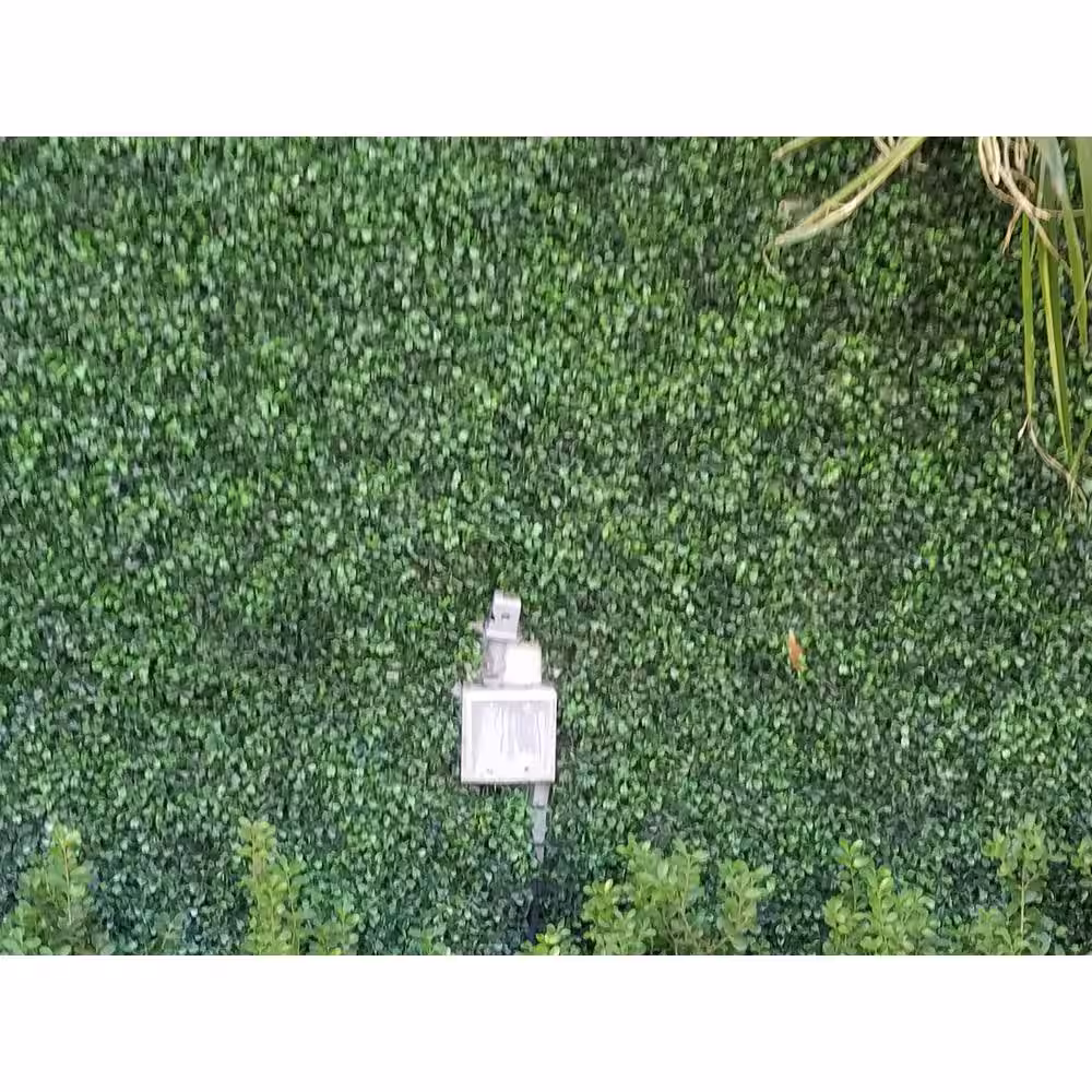 Ejoy 71 in. x 63 in. Artificial Light Green Boxwood Roll Panels UV Protected for Outdoor Use (Set of 2-Roll)