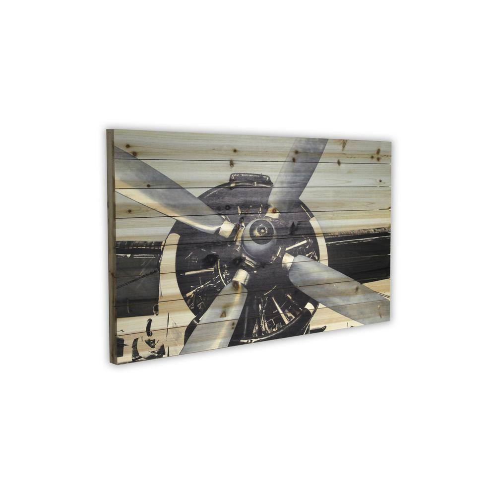 None 24 in. x 36 in. Plane Close Up Print on Planked Wood Wall Art