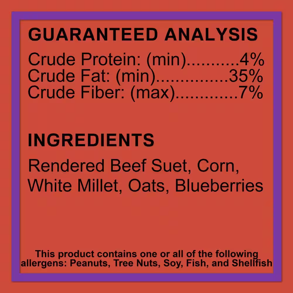 C and S Products Berry Treat 0.7 lbs. Wild Bird Suet