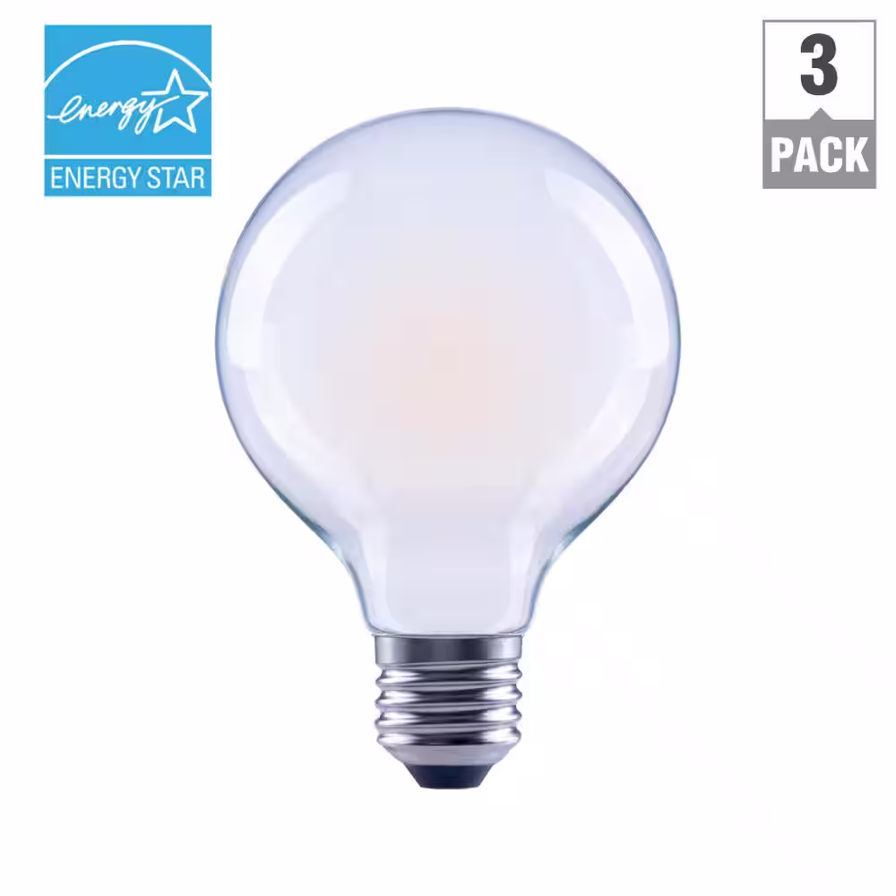 EcoSmart 40-Watt Equivalent G25 Globe Dimmable ENERGY STAR Frosted Glass Filament LED Vintage Edison Light Bulb Daylight (3-Pack)