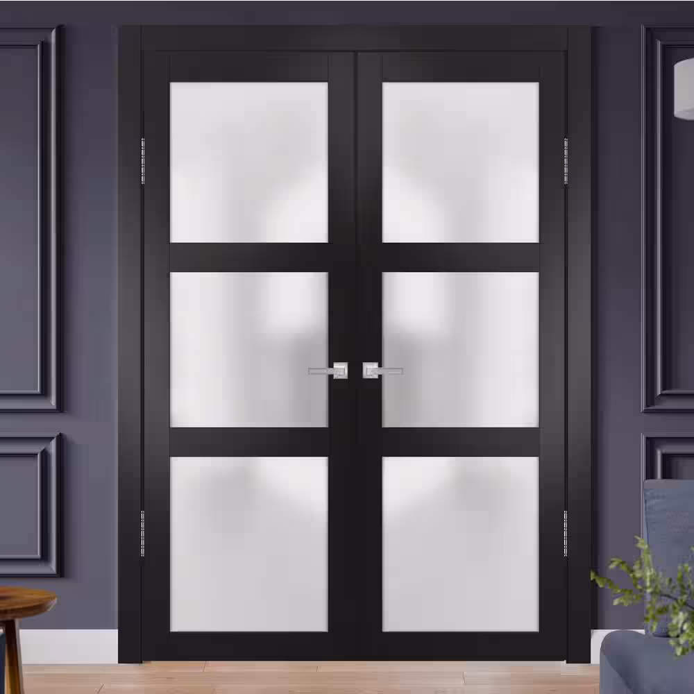 Sartodoors 2552 72 in. x 80 in. Universal Handling Frosted Glass Solid Core Black Finished Pine Wood Interior Door Slab