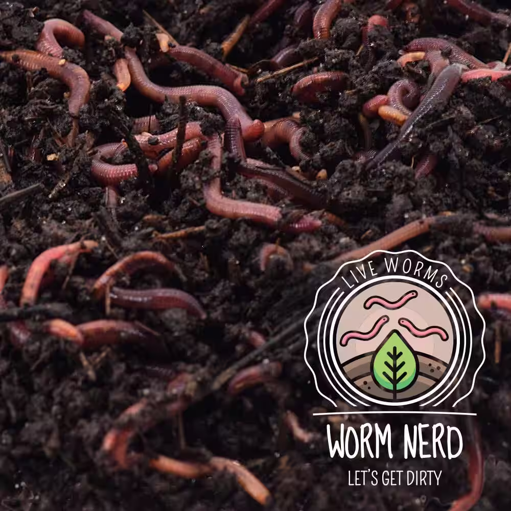 Arcadia Garden Products Worm Nerd Live Composting Worm Mix (100 Worms)