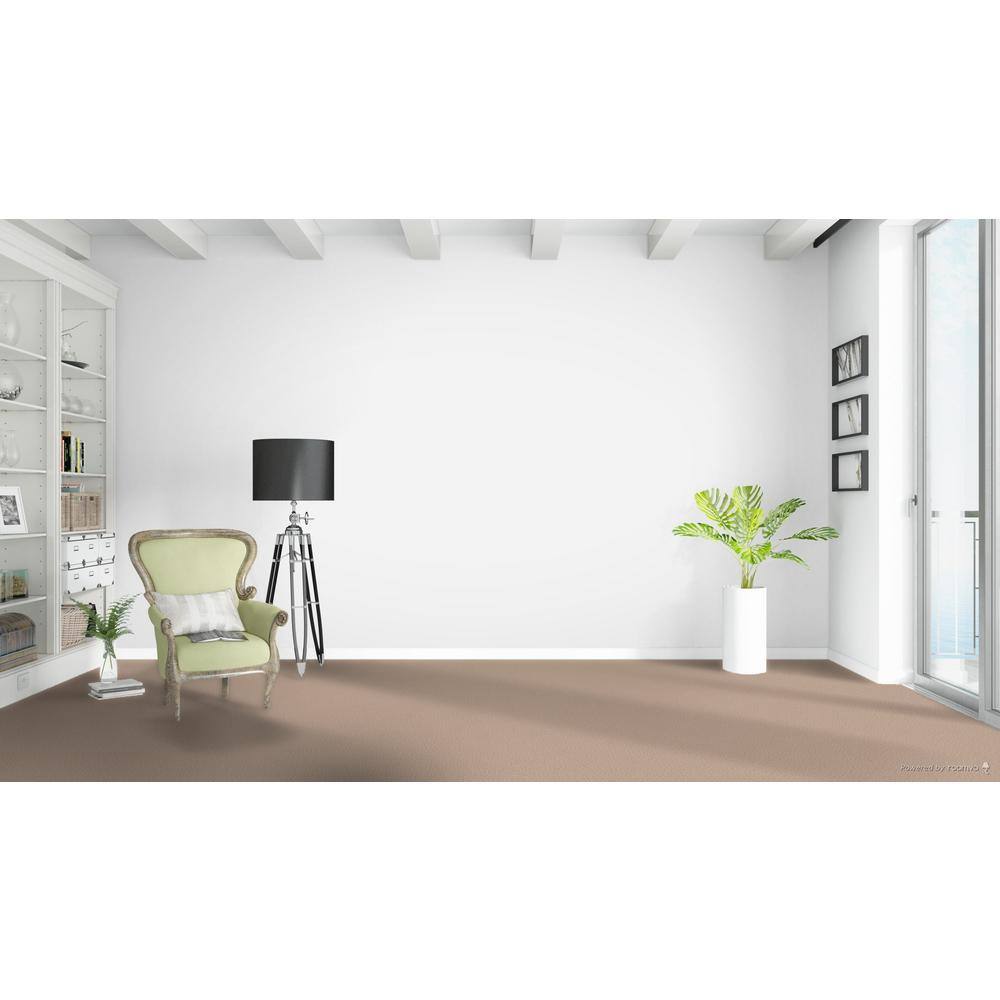 Home Decorators Collection Stargazer  - Explorer - Beige 32 oz. SD Polyester Texture Installed Carpet