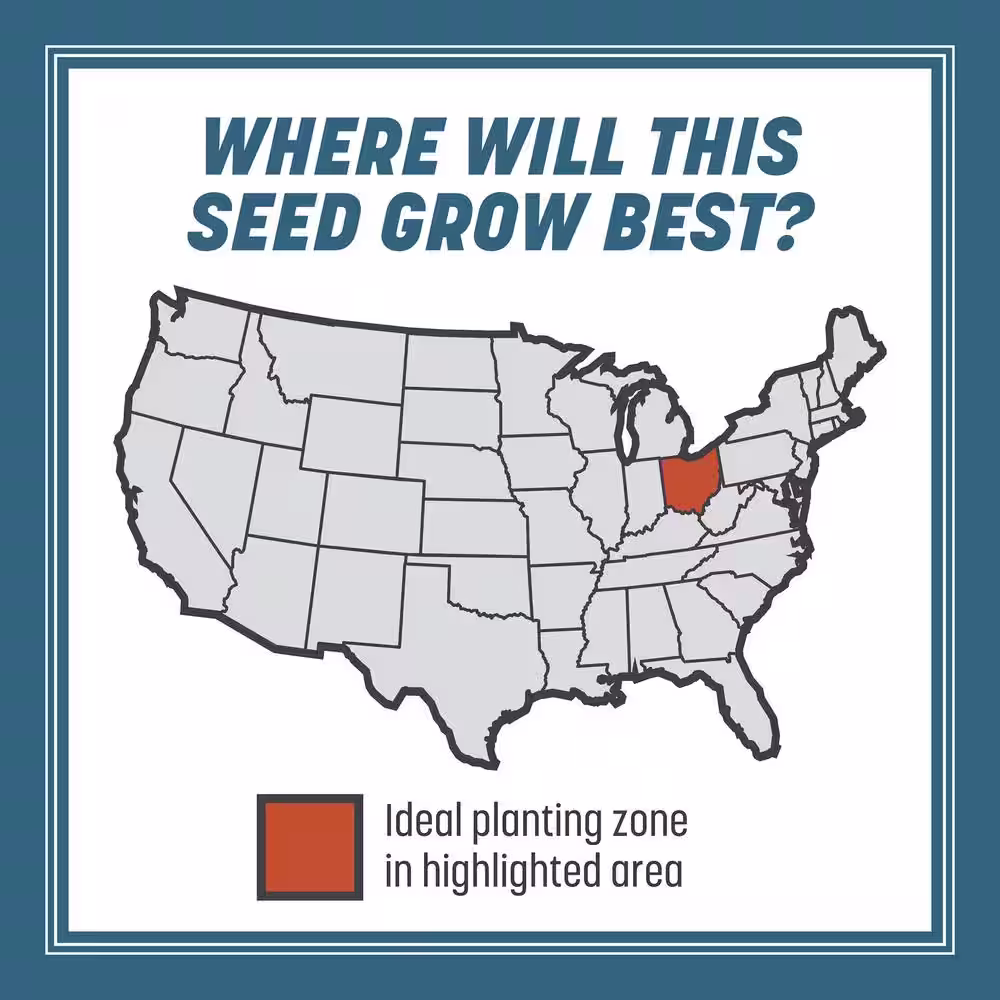 Pennington Smart Seed 3 lbs. Ohio State Grass Seed and Fertilizer