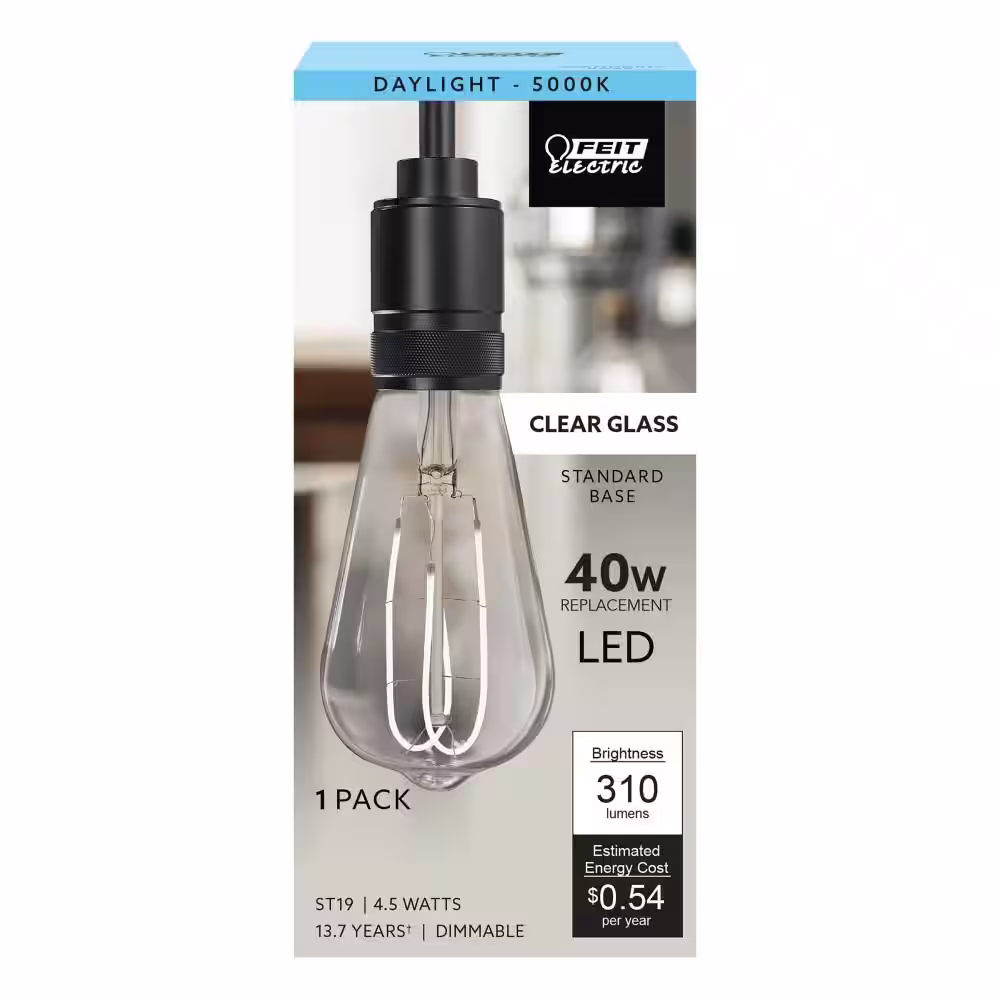 Feit Electric 40-Watt Equivalent ST19 DImmable M-Shape Filament Clear Glass E26 Vintage Edison LED Light Bulb, Daylight 5000K(12-Pack)