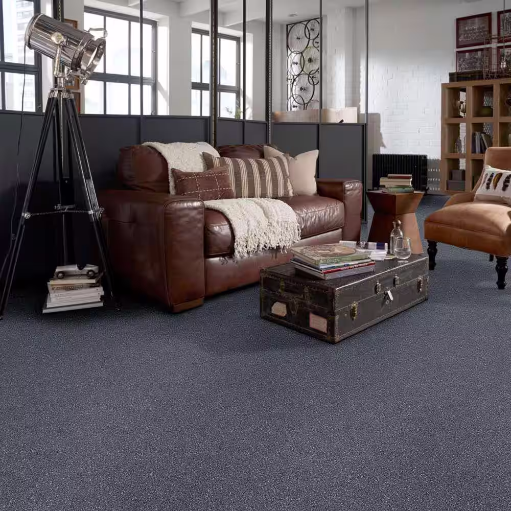 Home Decorators Collection Brave Soul I - Black Satin - 34.7 oz. Polyester Texture Installed Carpet