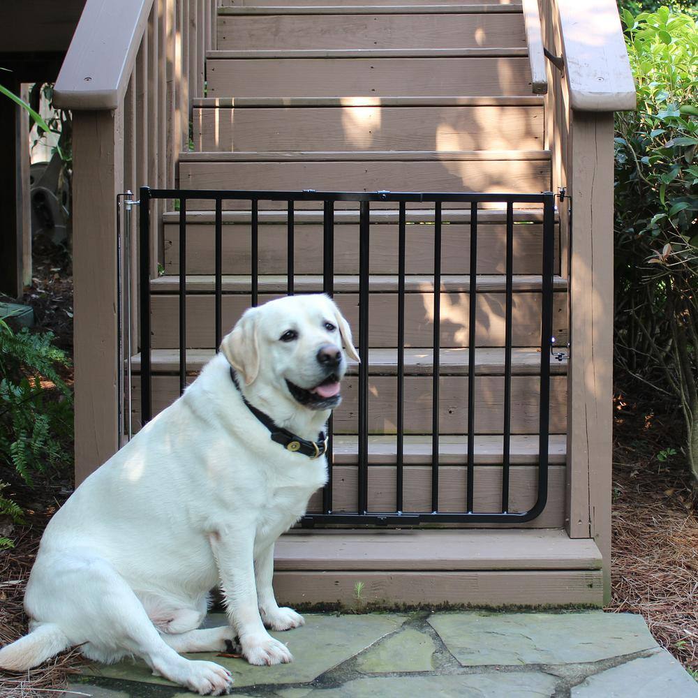 Cardinal Gates 30 in. H x 27 in. to 42.5 in. W x 2 in. D Stairway Special Outdoor Safety Gate in Black
